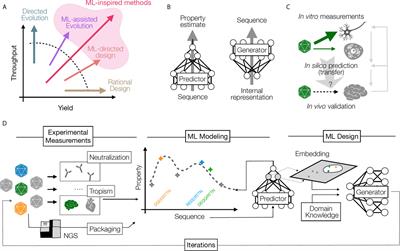 Overcoming Immunological Challenges Limiting Capsid-Mediated Gene Therapy With Machine Learning